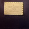 Louis Vuitton Monogram Favorite MM Handbag 11