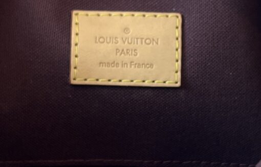 Louis Vuitton Monogram Favorite MM Handbag 11