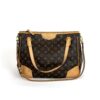 Louis Vuitton Monogram Estrela MM Shoulder Bag 5
