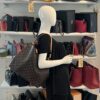 Louis Vuitton Graceful MM Monogram Pivoine 5