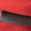 Louis Vuitton Damier Ebene Bloomsbury PM Crossbody Bag 10