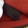 Louis Vuitton Damier Ebene Olav MM Messenger 11