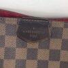 Louis Vuitton Damier Ebene Graceful PM Hobo 19