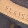 Louis Vuitton Monogram Metis Hobo Shoulder Bag 7