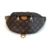Louis Vuitton Monogram Bumbag 2019 4