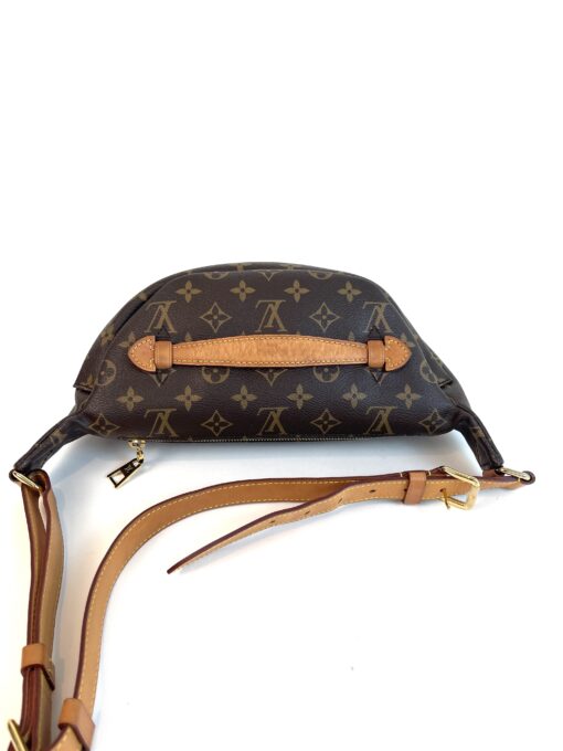 Louis Vuitton Monogram Bumbag 2019 9