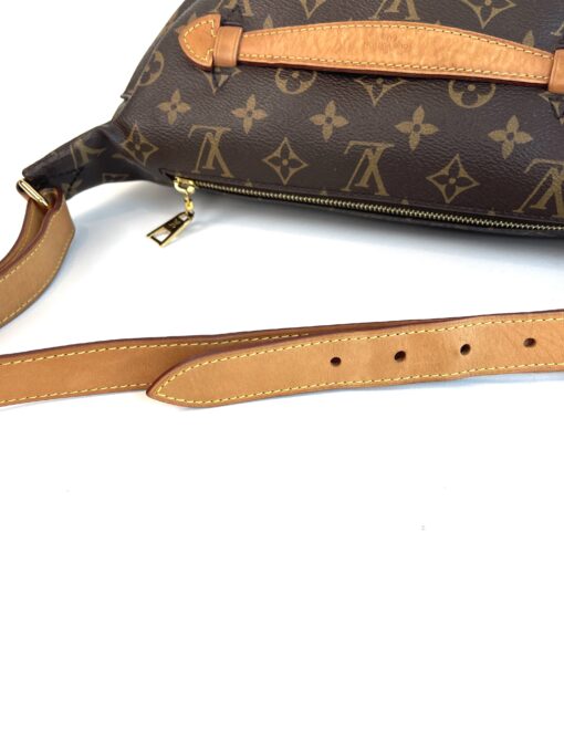 Louis Vuitton Monogram Bumbag 2019 20