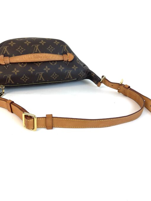 Louis Vuitton Monogram Bumbag 2019 14