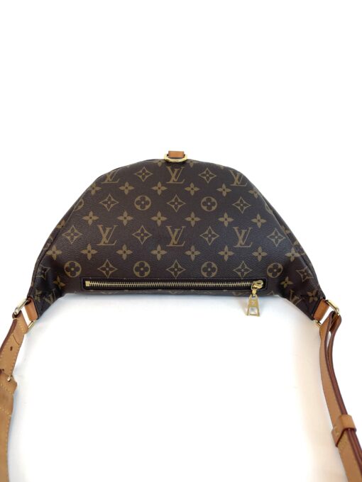 Louis Vuitton Monogram Bumbag 2019 5