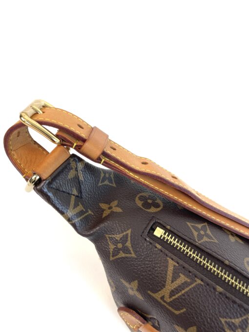 Louis Vuitton Monogram Bumbag 2019 13