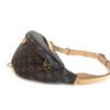 Louis Vuitton Monogram Bumbag Brown 2020 6