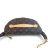 Louis Vuitton Monogram Bumbag Brown 2020 5