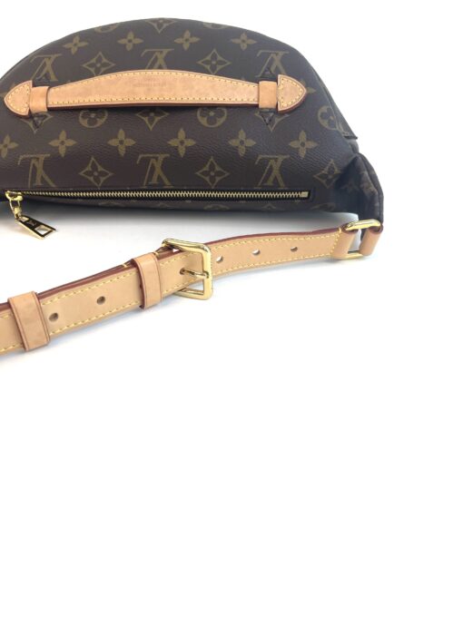 Louis Vuitton Monogram Bumbag Brown 2020 14