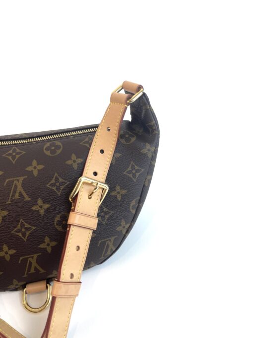 Louis Vuitton Monogram Bumbag Brown 2020 9