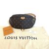 Louis Vuitton Monogram Bumbag Brown 2020 4