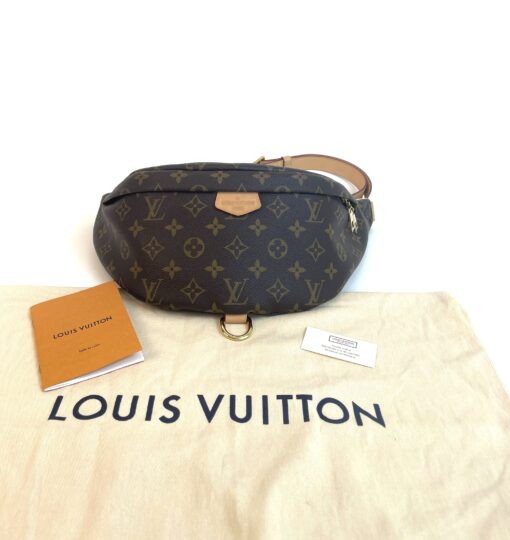 Louis Vuitton Monogram Bumbag Brown 2020 4