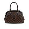 Louis Vuitton Damier Ebene Trevi PM 6