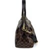 Louis Vuitton Damier Ebene Trevi PM 13