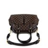 Louis Vuitton Damier Ebene Trevi PM 12