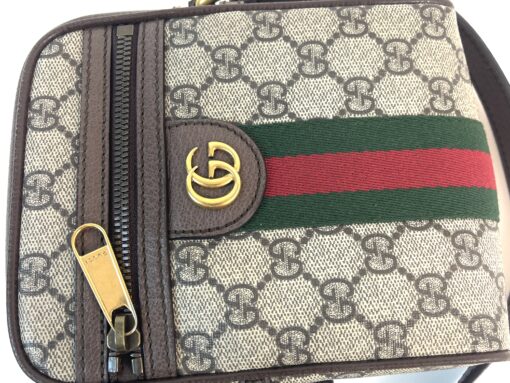 Gucci Small Linea Totem Bag and Gucci Supreme Ophidia Small Bag Bundle 35