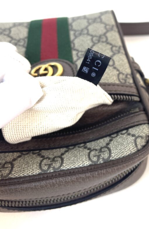 Gucci Small Linea Totem Bag and Gucci Supreme Ophidia Small Bag Bundle 37