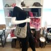 Gucci x Balenciaga Supreme Monogram Striped Logo Print Web Small Jackie 1961 Hobo Beige Ebony 3
