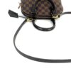 Louis Vuitton Damier Ebene Canvas Alma BB Crossbody (Copy) 20