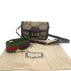 the bag with its dust bag and both shoulder straps