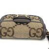 overhead view showing the flap and the top of the bag