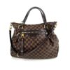 Louis Vuitton Monogram Empreinte Lumineuse PM Earth Brown 19