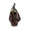 Louis Vuitton Damier Ebene Evora MM Shoulder Bag 6