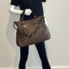 Louis Vuitton Damier Ebene Evora MM Shoulder Bag 4