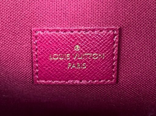 Louis Vuitton Monogram Pochette Felicie Crossbody with Pivoine Interior 17