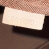 Louis Vuitton Monogram Alma PM 8