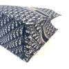 Dior Large Book Tote Ecru and Blue Dior Oblique Embroidery (Copy) 20