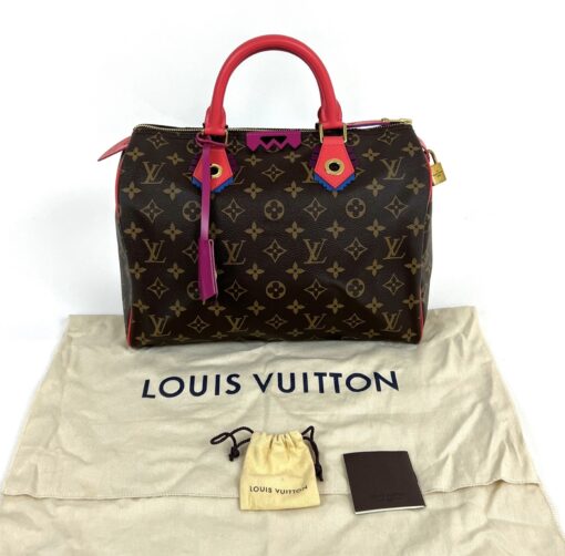 Louis Vuitton Totem Speedy Monogram 30 3