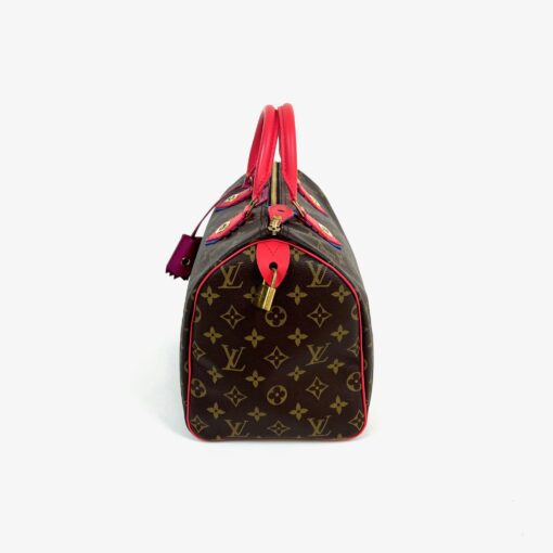 Louis Vuitton Totem Speedy Monogram 30 6