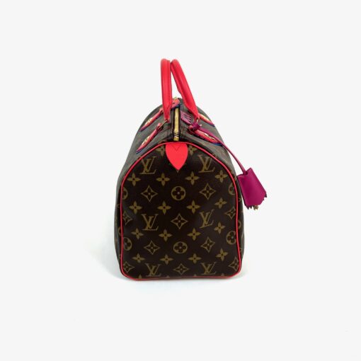 Louis Vuitton Totem Speedy Monogram 30 7