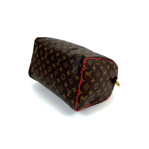 Louis Vuitton Totem Speedy Monogram 30 10