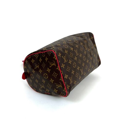 Louis Vuitton Totem Speedy Monogram 30 9