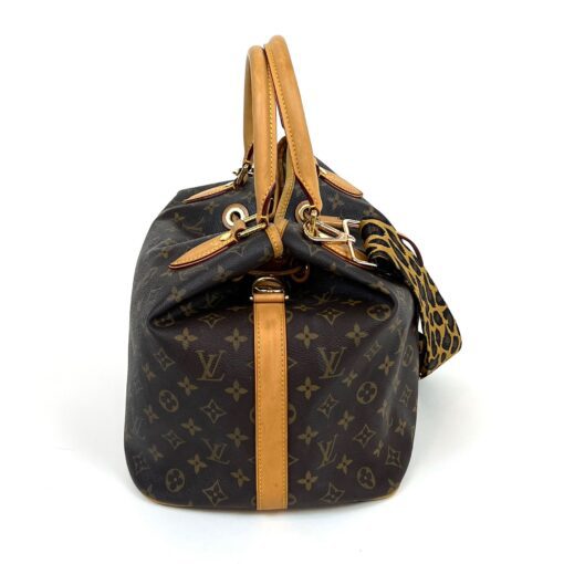 Louis Vuitton Monogram Eden Noe 2 Way Bag Limited Edition 9