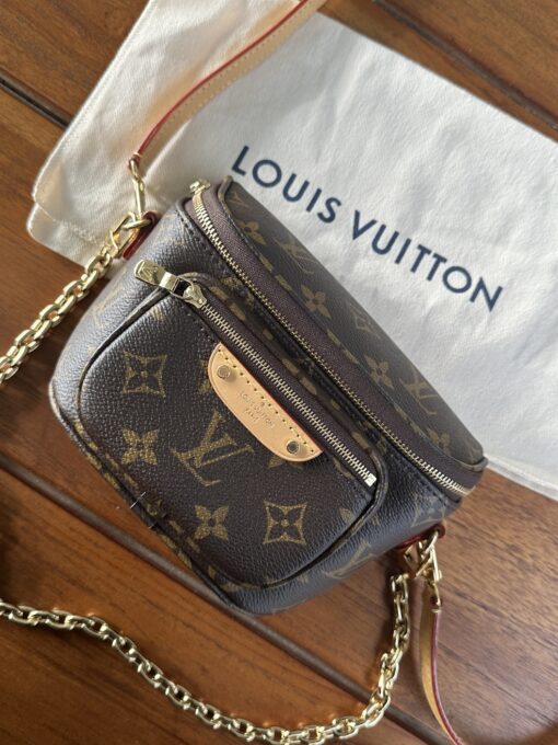 Louis Vuitton Monogram Mini Bum Bag 14