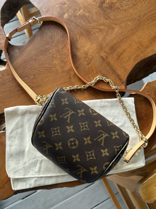 Louis Vuitton Monogram Mini Bum Bag 19