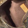 Louis Vuitton Monogram Mini Bum Bag 16