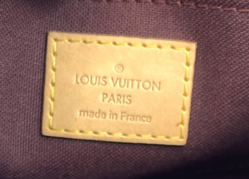 Louis Vuitton Monogram Favorite MM Crossbody 6