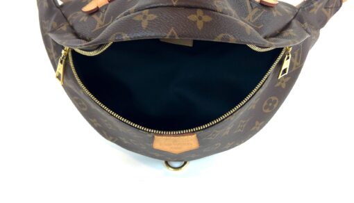 Louis Vuitton Monogram Bumbag Brown 2020 5