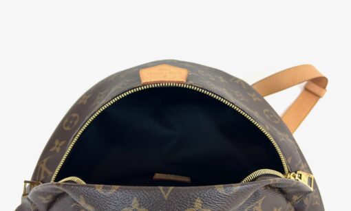 Louis Vuitton Monogram Bumbag Brown 2020 9