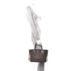 Louis Vuitton Damier Ebene Neverfull PM (Copy) 3