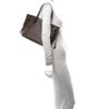 Louis Vuitton Damier Ebene Neverfull PM (Copy) 2