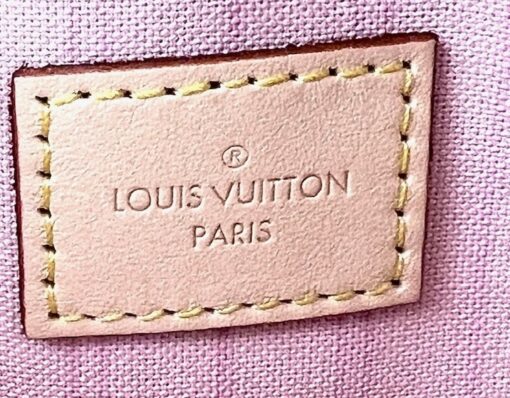 Louis Vuitton Azur Neverfull Pochette Pouch with Rose Ballerine - Image 12
